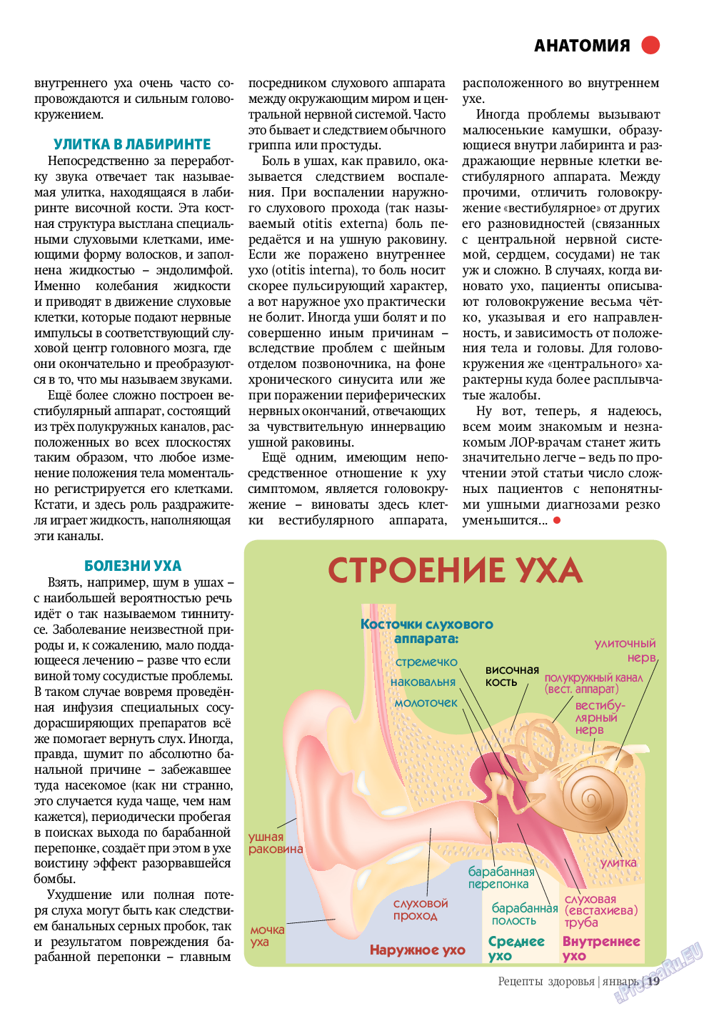 Рецепты здоровья (журнал). 2012 год, номер 1, стр. 19