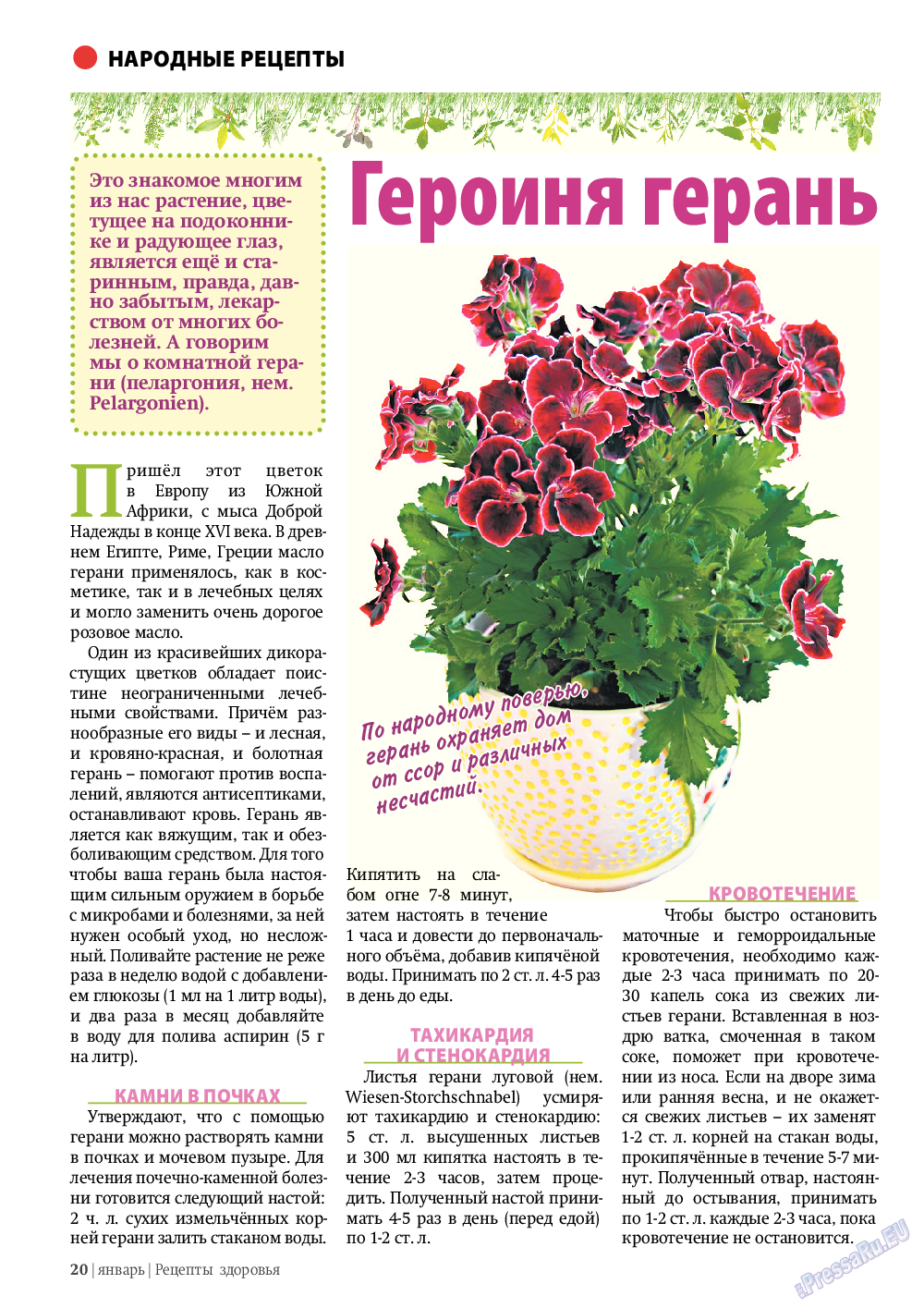 Рецепты здоровья, журнал. 2012 №1 стр.20