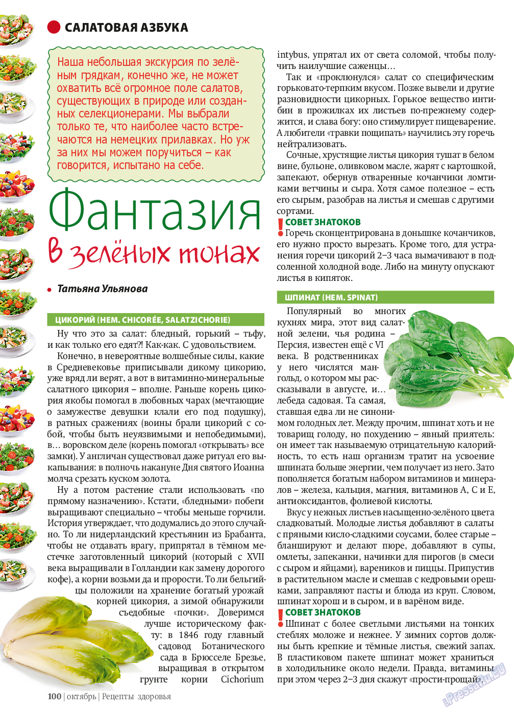 Рецепты здоровья, журнал. 2013 №10 стр.100