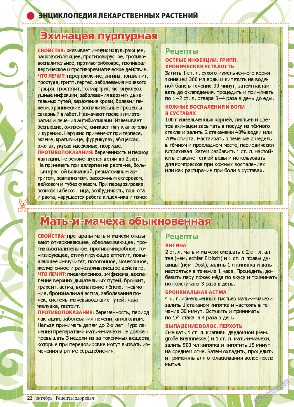 Рецепты здоровья, журнал. 2013 №10 стр.22