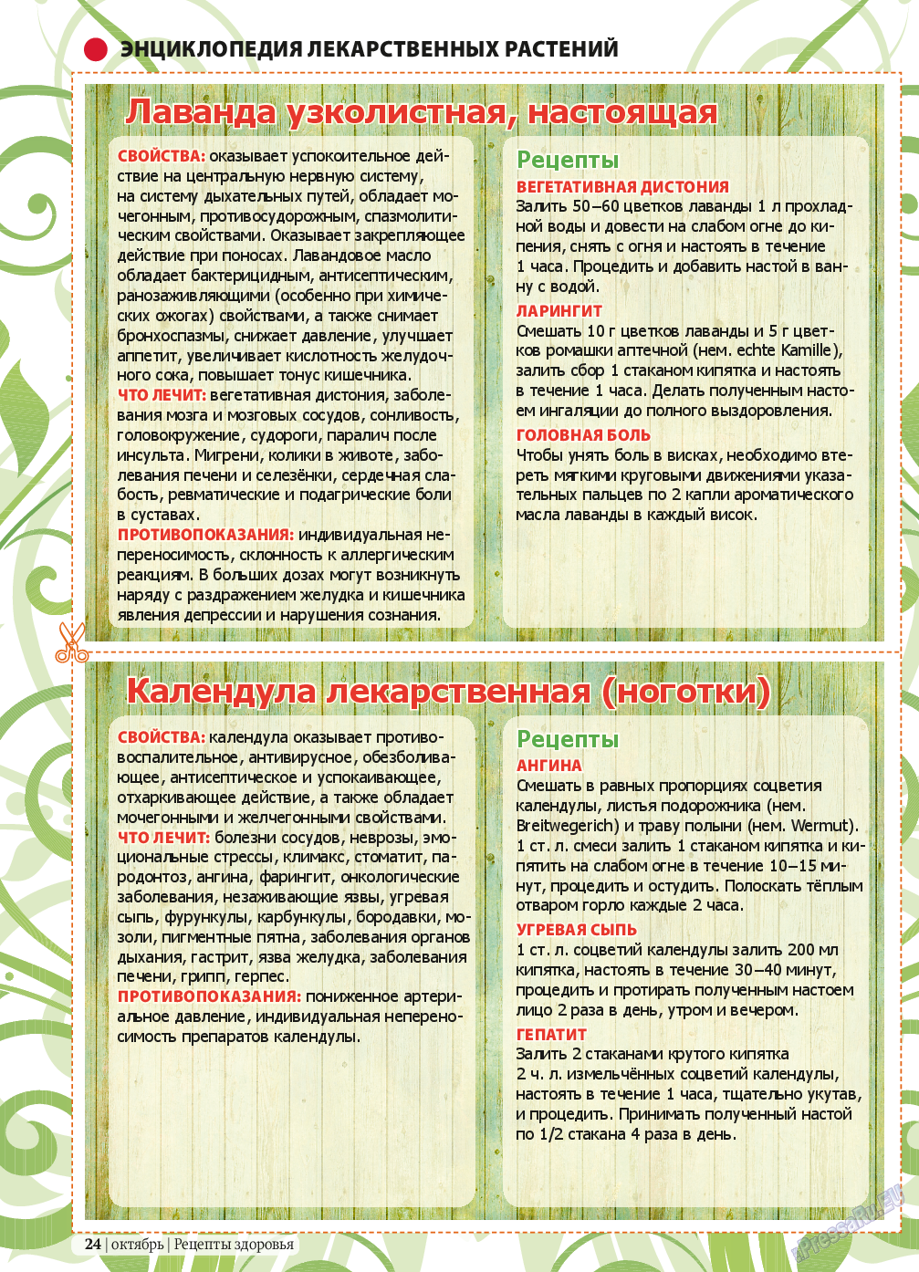 Рецепты здоровья (журнал). 2013 год, номер 10, стр. 24