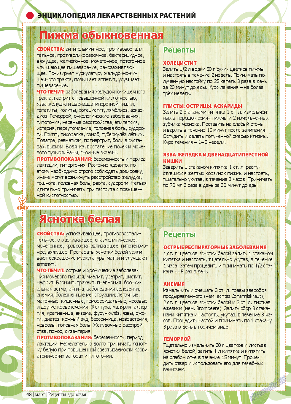 Рецепты здоровья, журнал. 2014 №58 стр.48