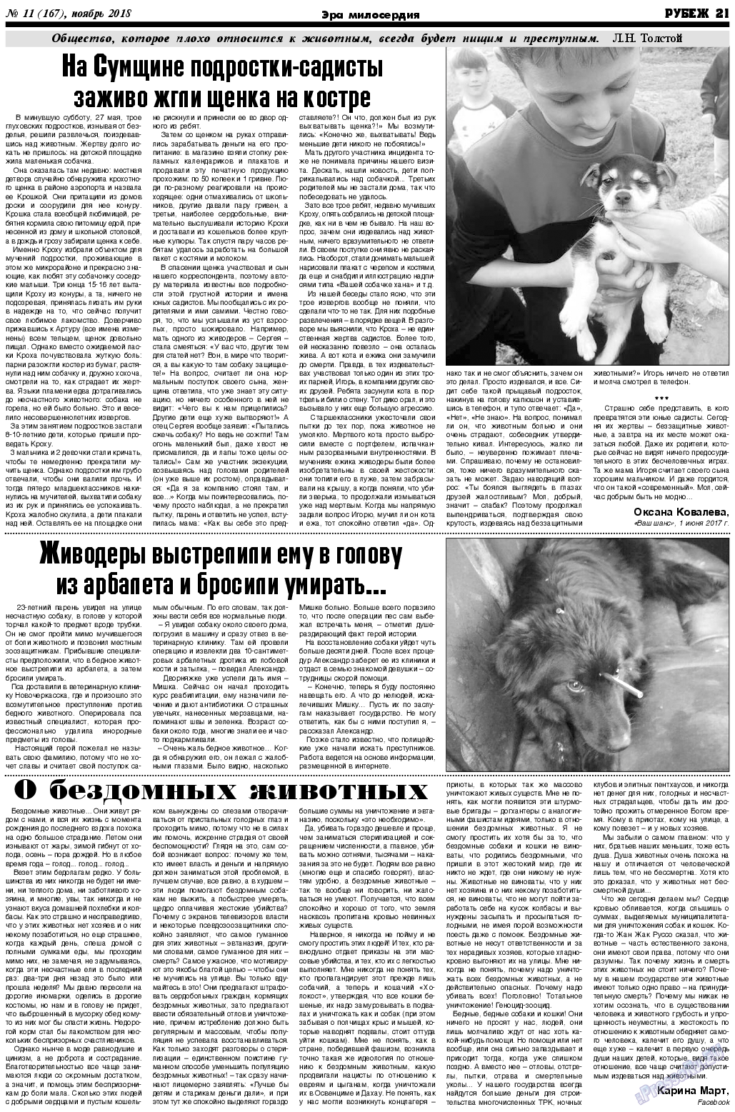 Рубеж, газета. 2018 №11 стр.21