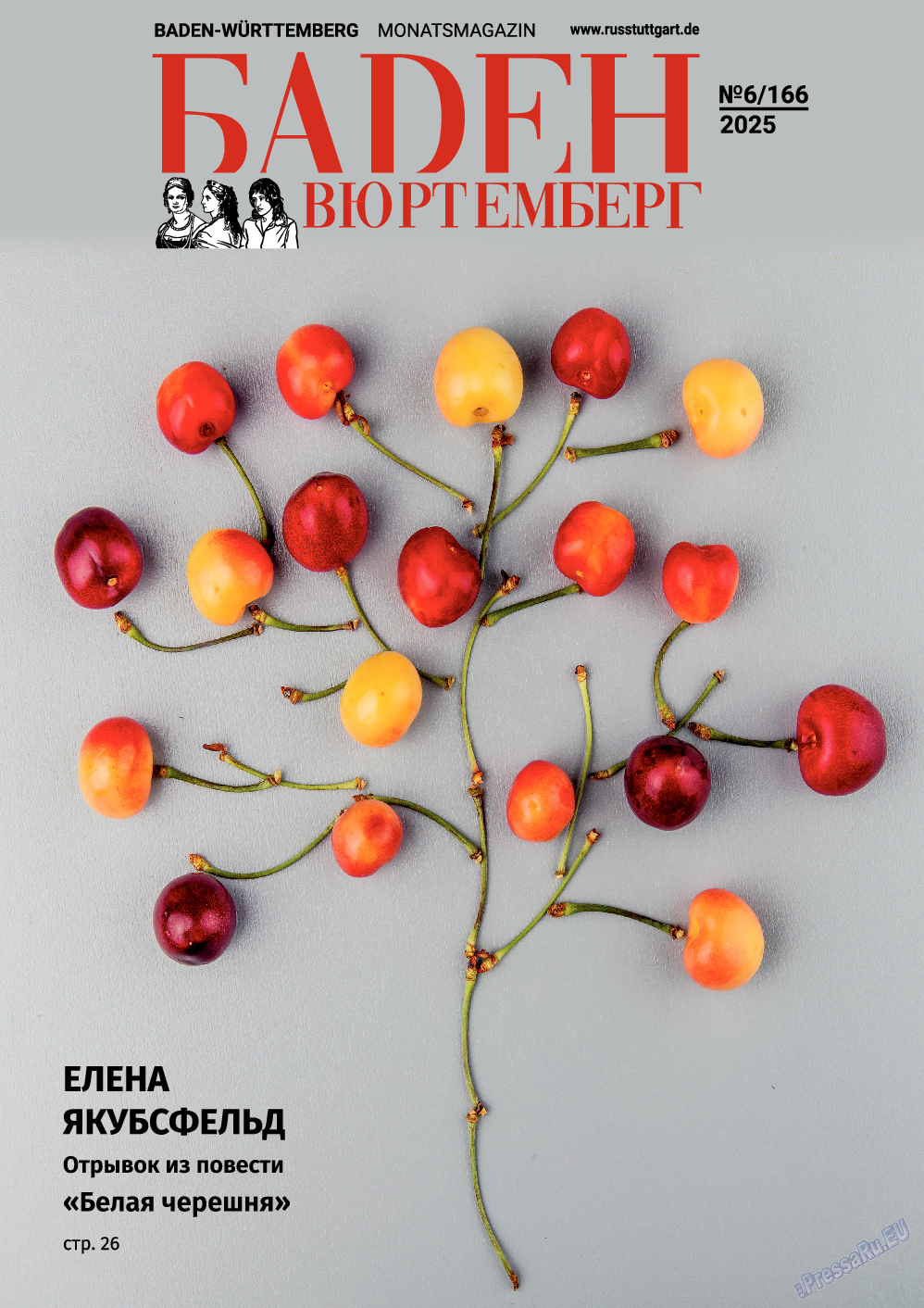 Баден-Вюртемберг, журнал. 2025 №166 стр.1