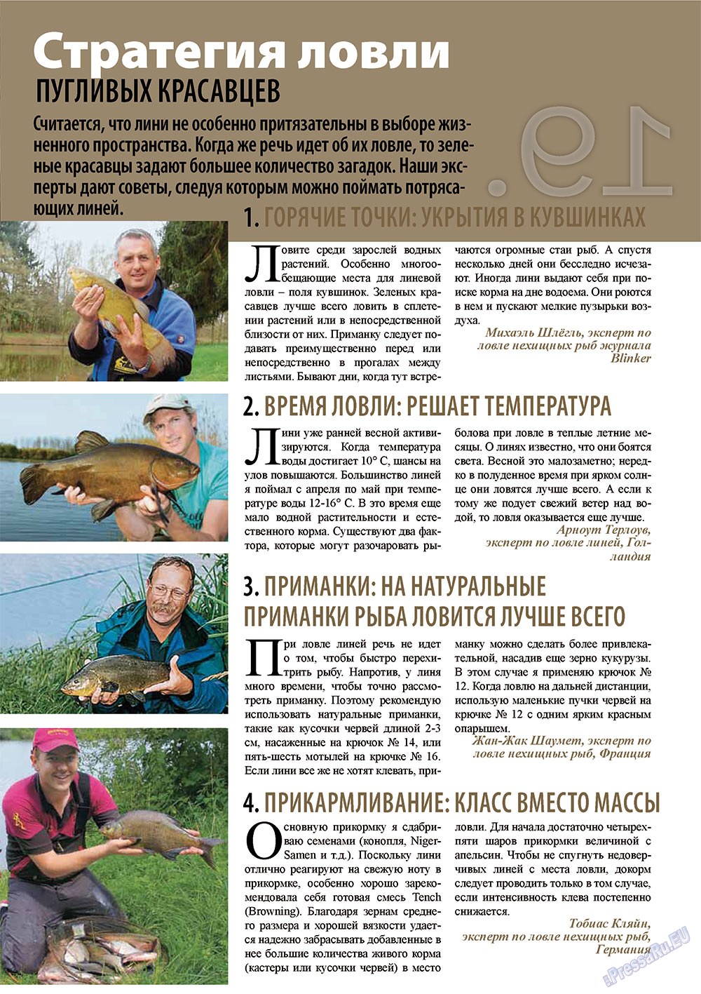 Angeln Plus (Zeitschrift). 2011 Jahr, Ausgabe 8, Seite 19