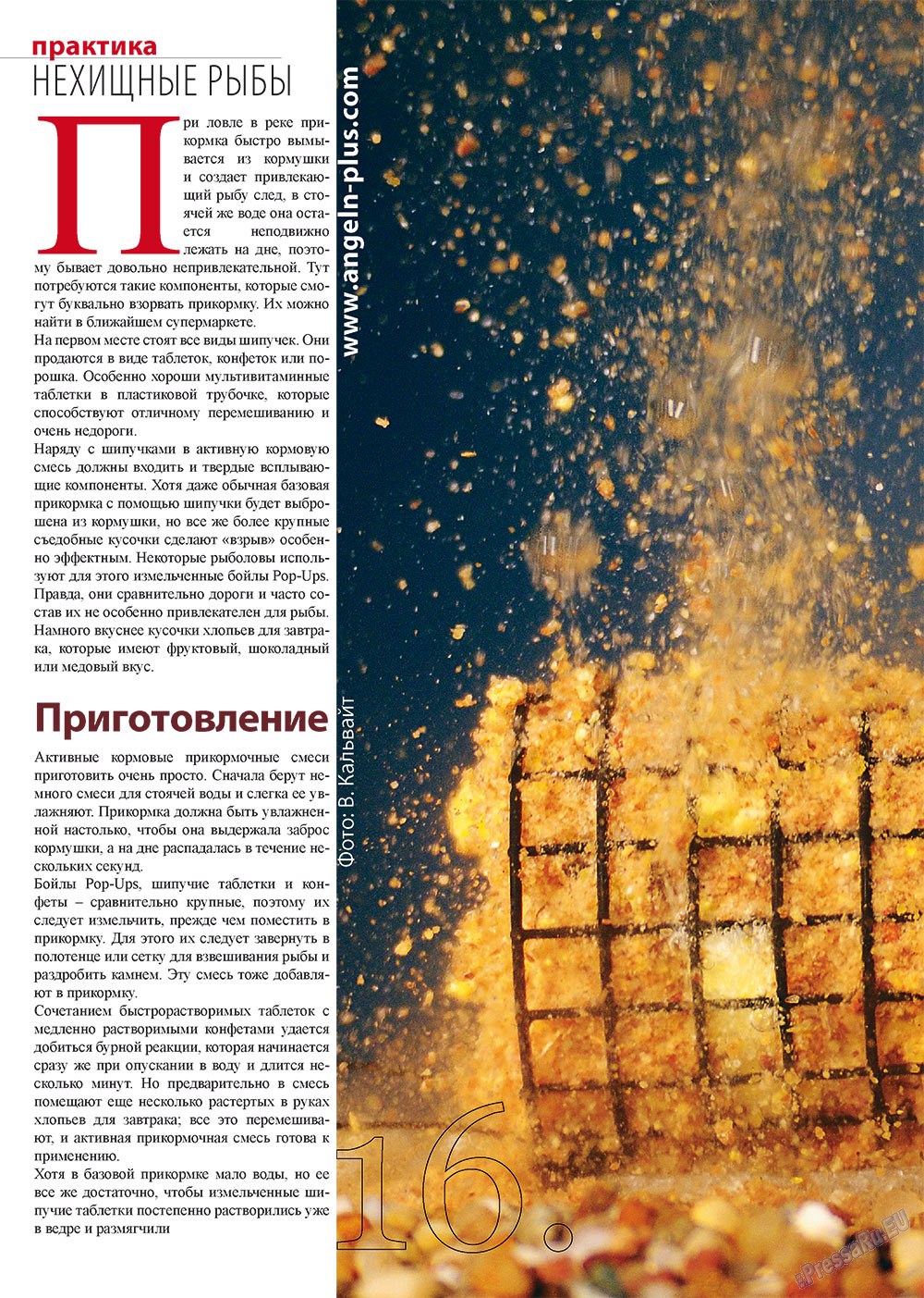 Angeln Plus (Zeitschrift). 2012 Jahr, Ausgabe 11, Seite 16