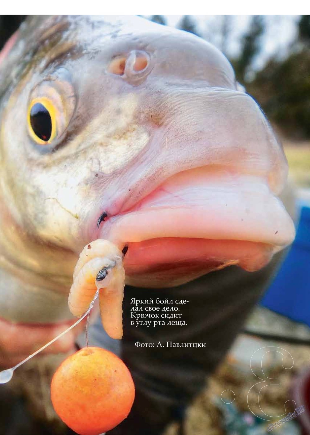 Рыбалка Plus, журнал. 2013 №2 стр.3