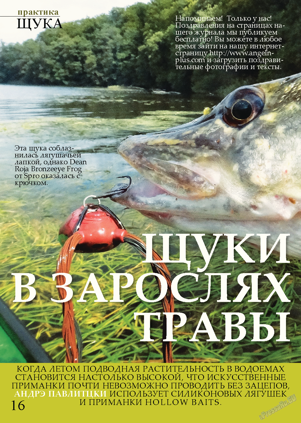 Рыбалка Plus, журнал. 2013 №8 стр.16