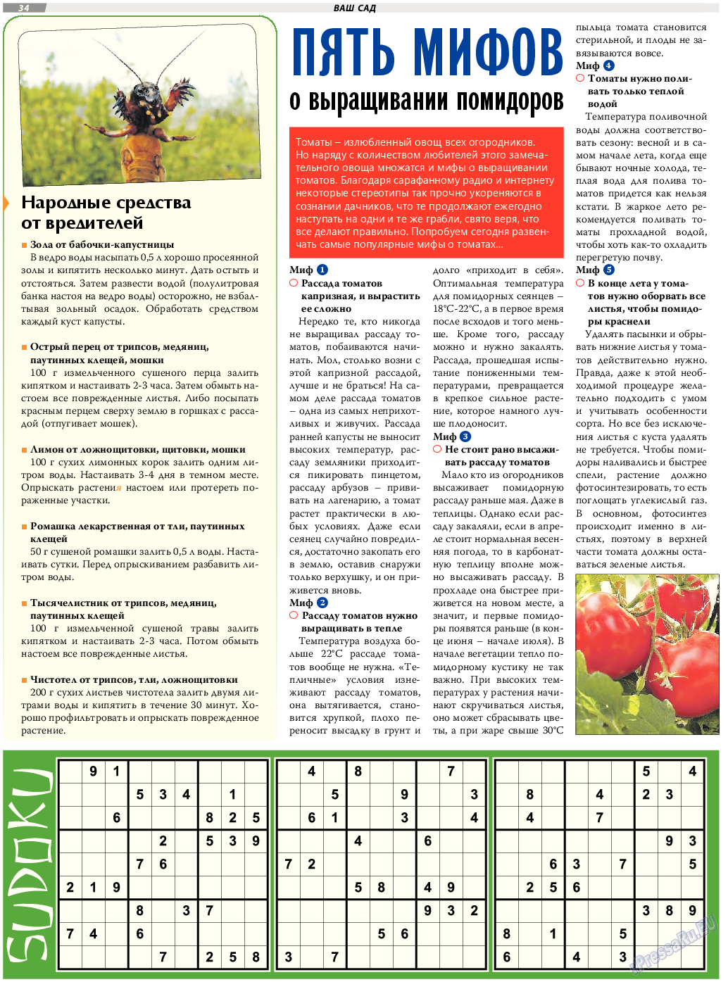 TVrus, газета. 2017 №23 стр.34