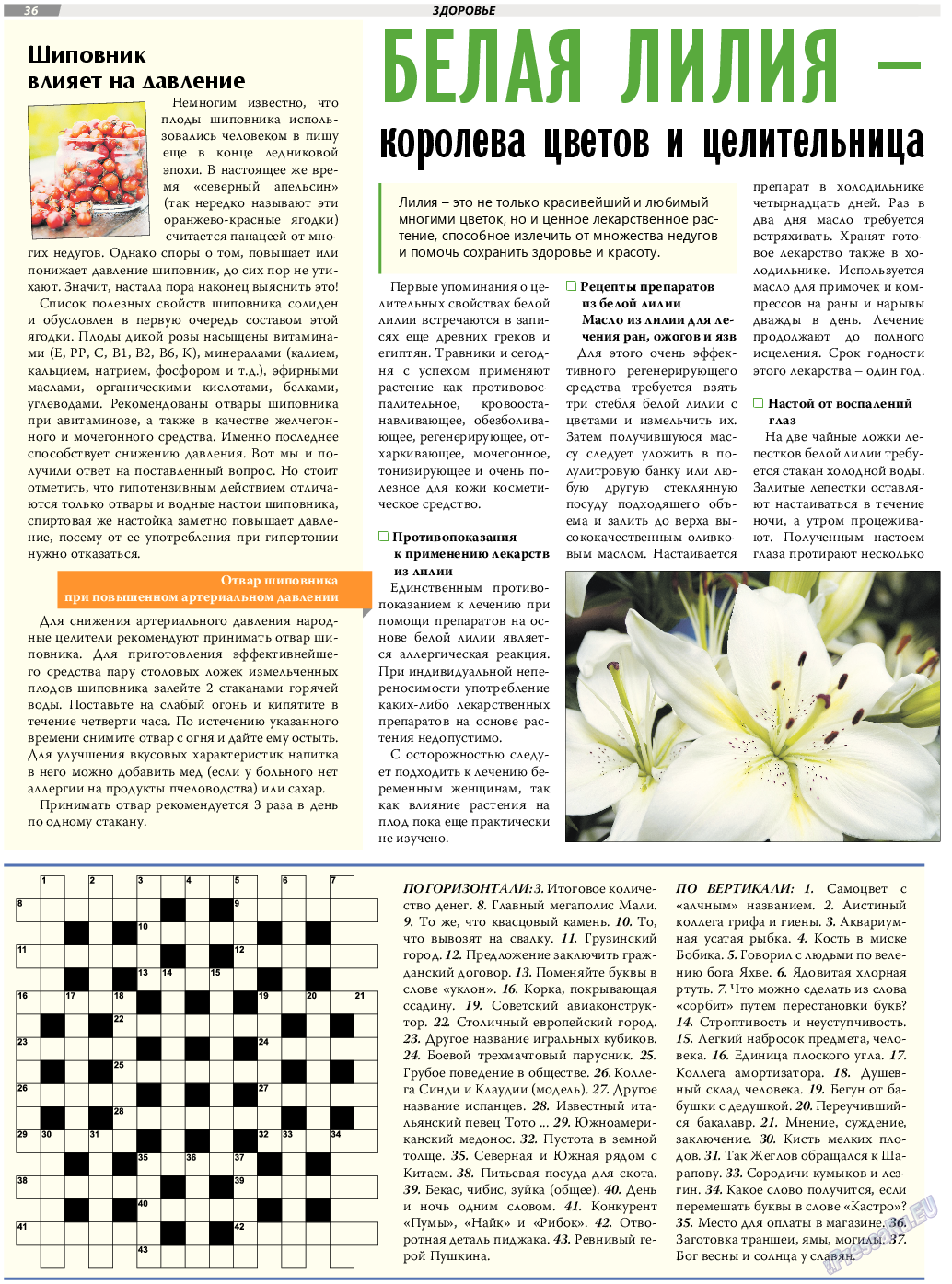 TVrus, газета. 2017 №9 стр.36
