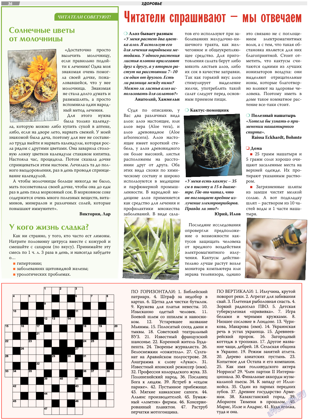 TVrus, газета. 2018 №15 стр.36