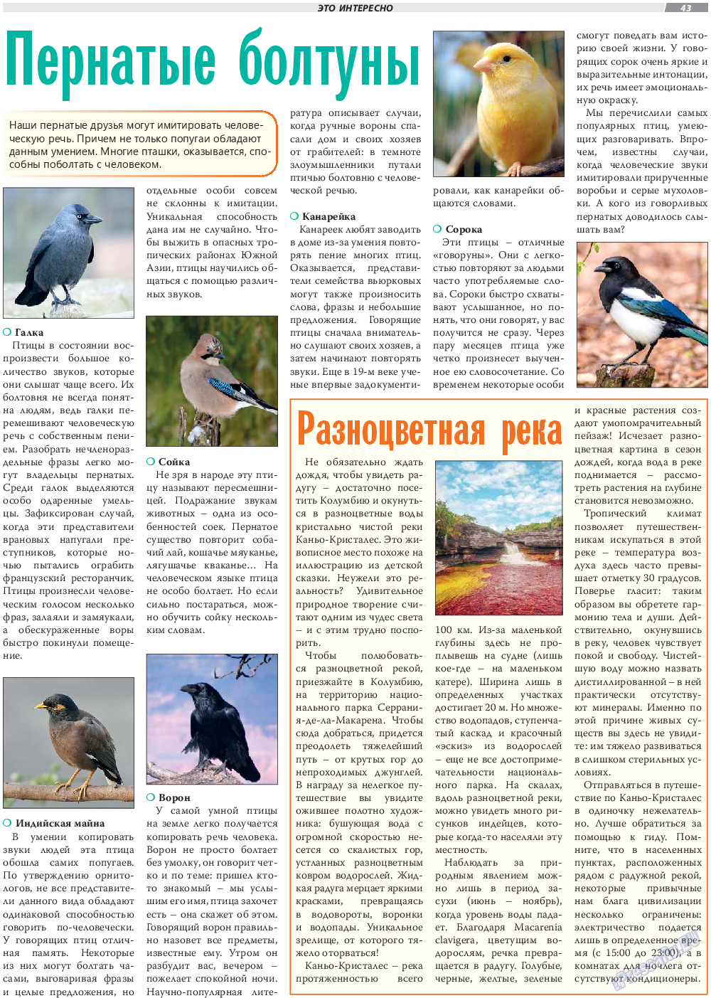 TVrus, газета. 2019 №35 стр.43