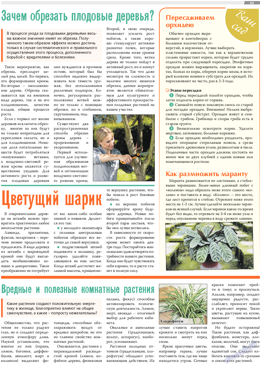 TVrus, газета. 2019 №5 стр.43