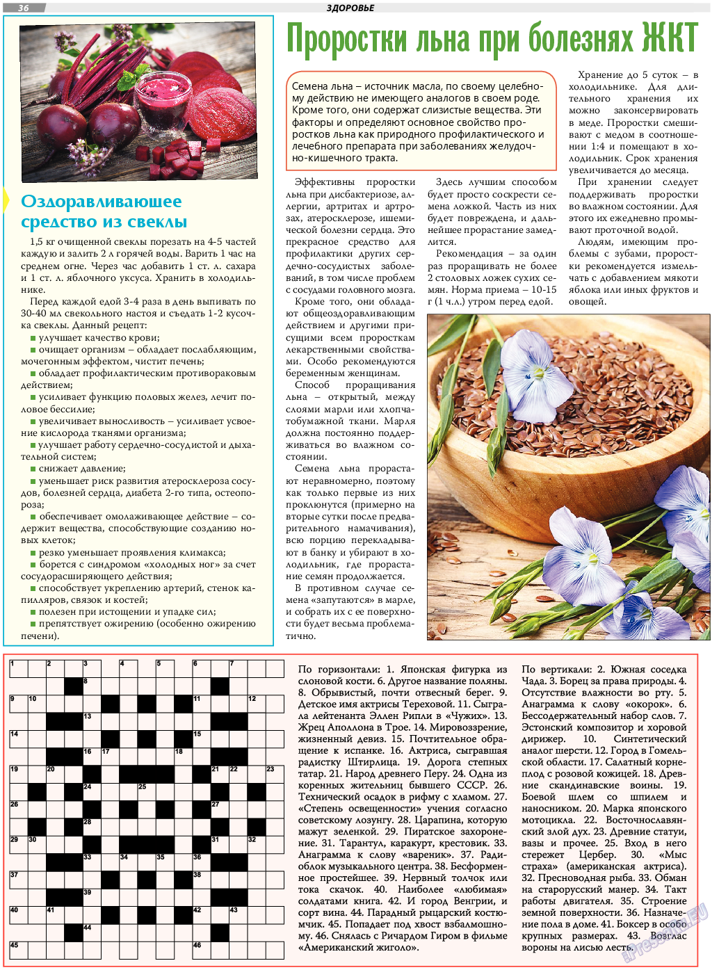 TVrus, газета. 2020 №13 стр.36