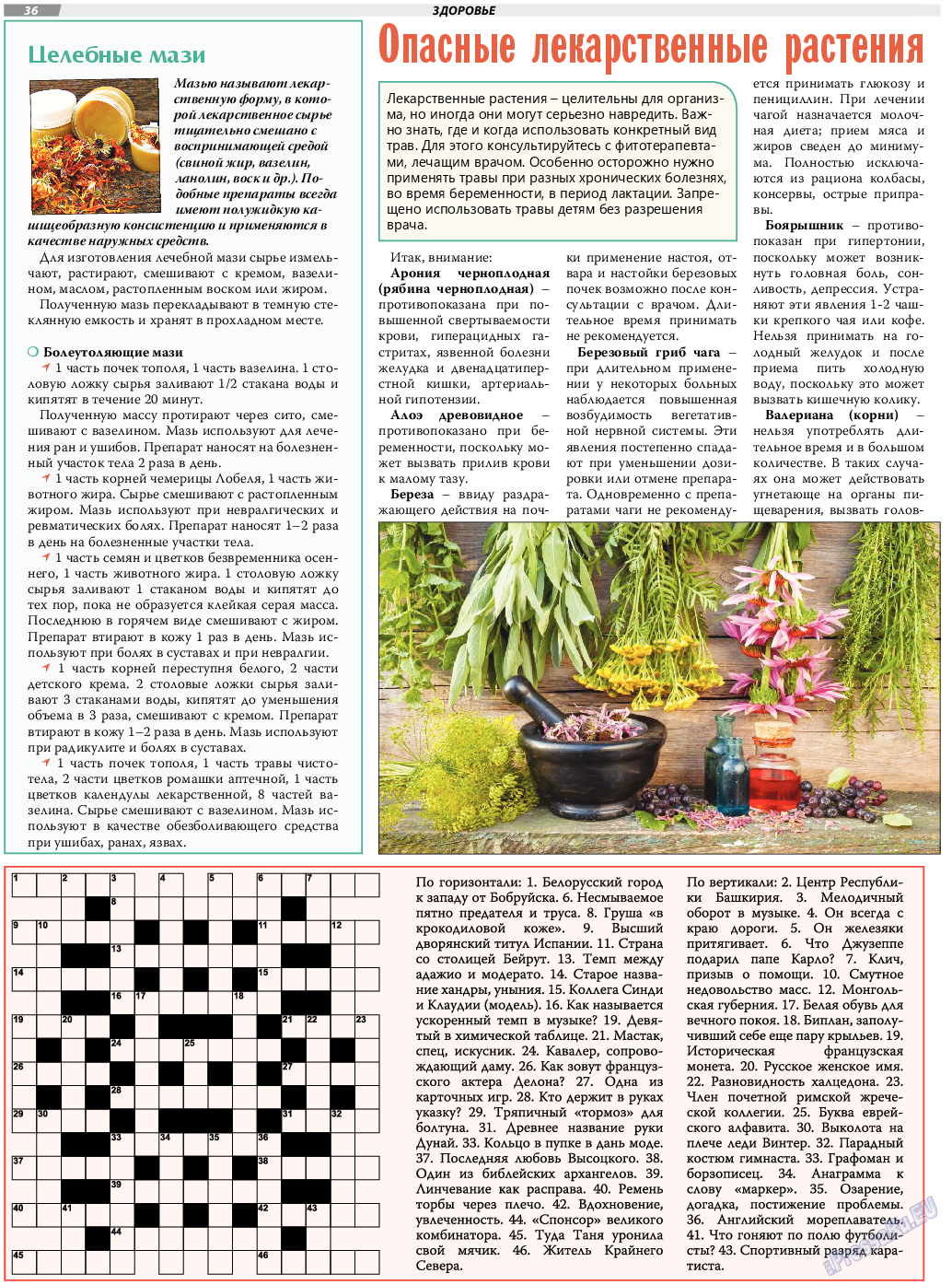 TVrus, газета. 2020 №18 стр.36