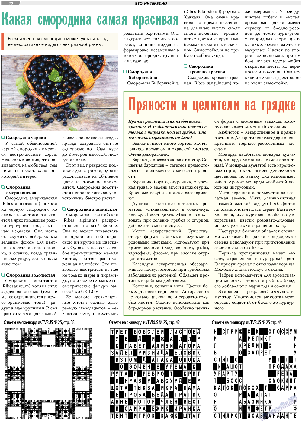 TVrus, газета. 2021 №26 стр.40