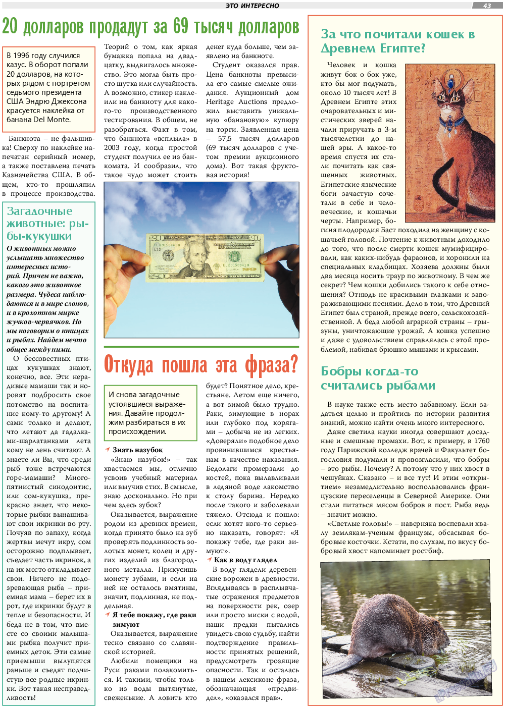 TVrus, газета. 2021 №34 стр.43