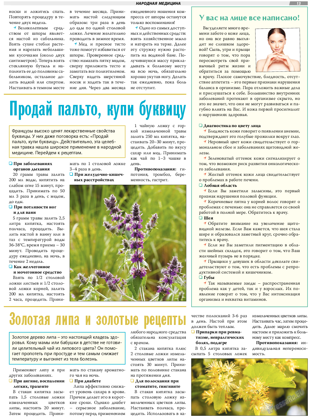 TVrus (газета). 2022 год, номер 21, стр. 13