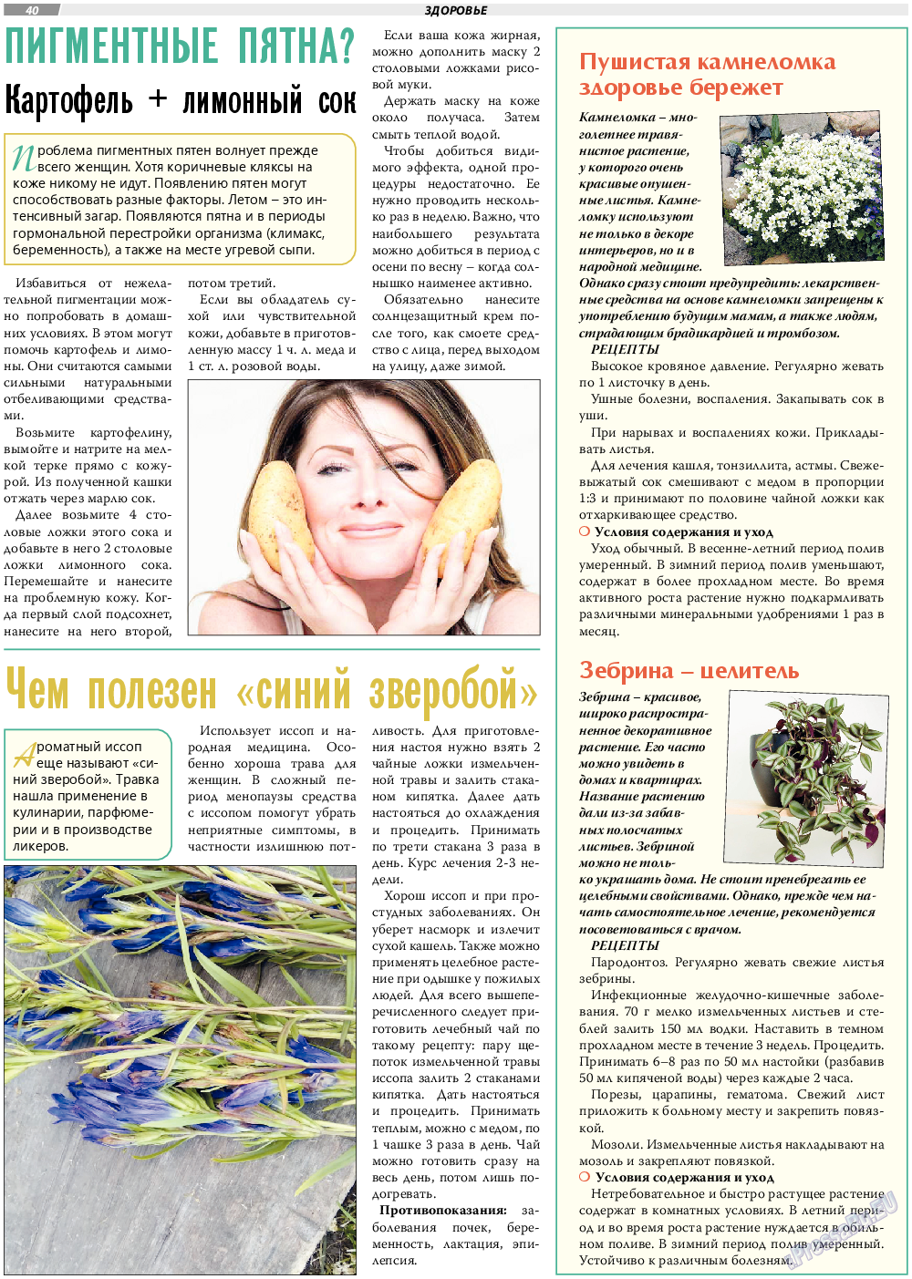 TVrus, газета. 2022 №32 стр.40