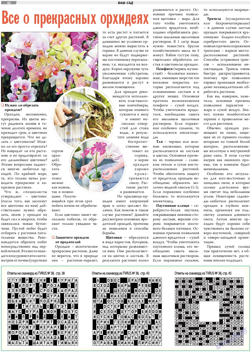 TVrus, газета. 2022 №39 стр.42