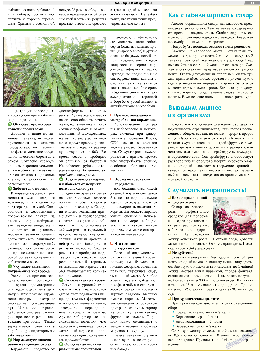TVrus, газета. 2022 №9 стр.13