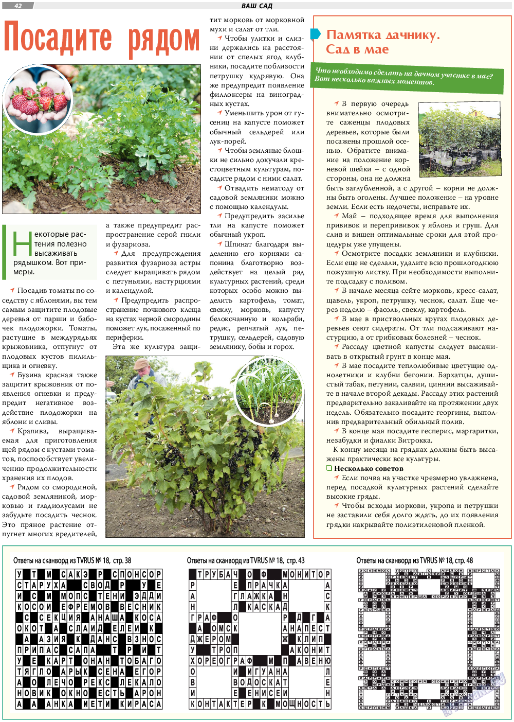 TVrus, газета. 2023 №19 стр.42
