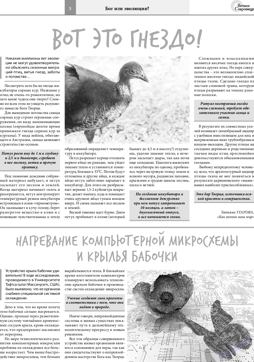 Вечное сокровище (газета). 2020 год, номер 5, стр. 5