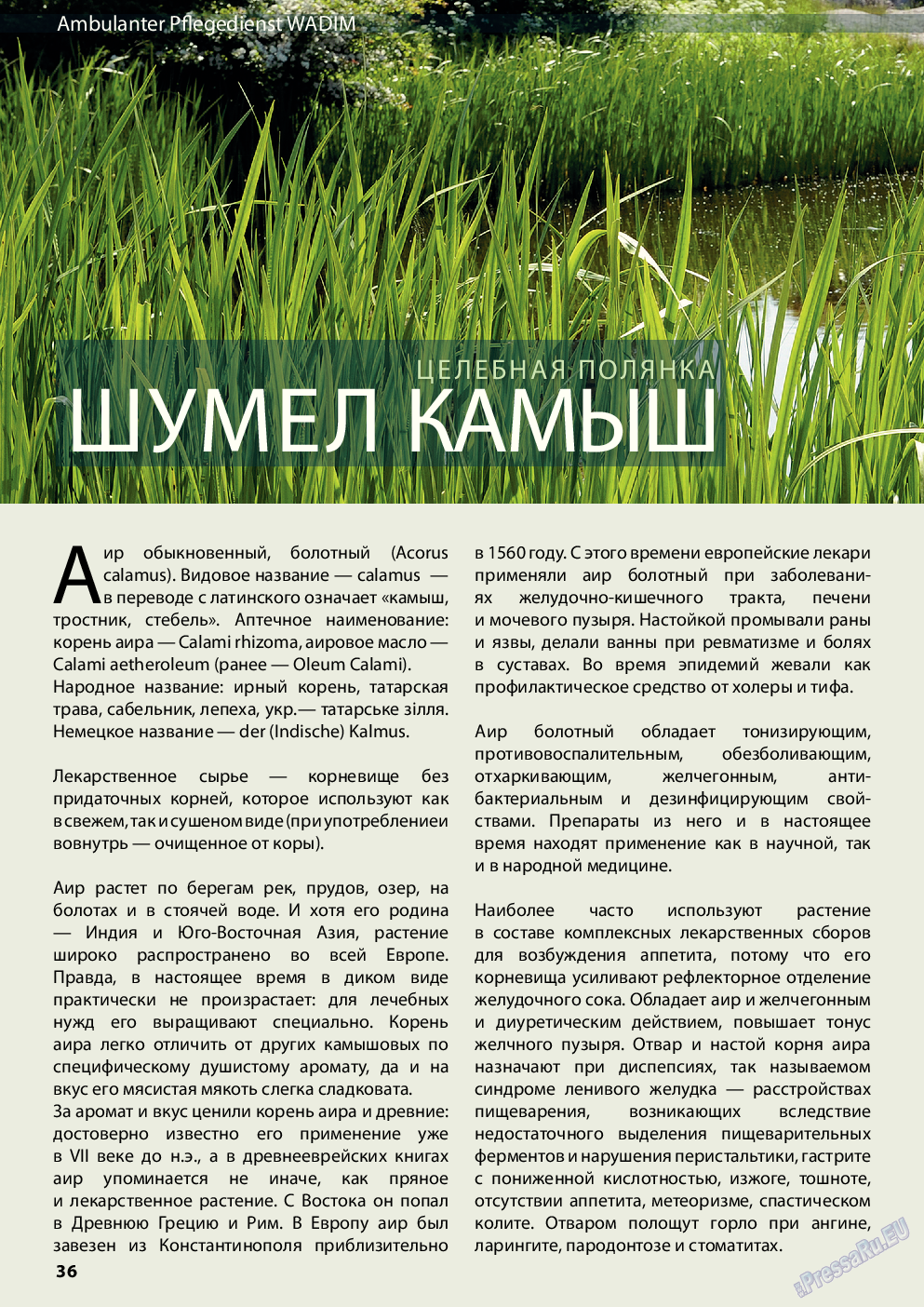 Wadim, журнал. 2014 №6 стр.36